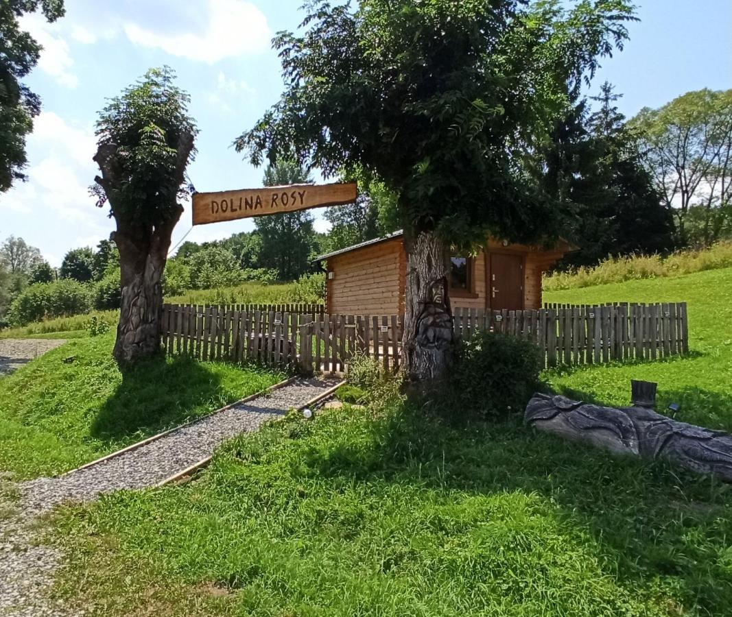 Dolina Rosy Villa Ustrzyki Dolne Exterior photo